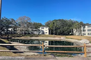 920 Virginia St, Dunedin, FL 34698 - Photo 19