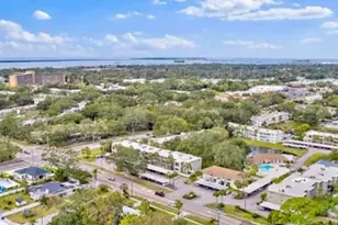 920 Virginia St, Dunedin, FL 34698 - Photo 23