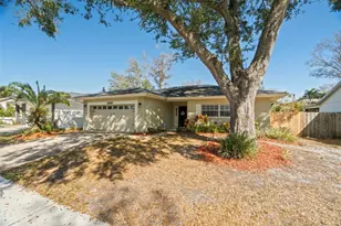 2397 E Orangehill Ave, Palm Harbor, FL 34683 - Photo 3