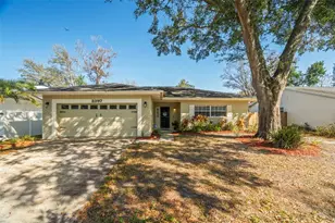 2397 E Orangehill Ave, Palm Harbor, FL 34683 - Photo 1