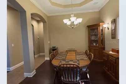3347 Diamond Falls Circle, Land O Lakes, FL 34638 - Photo 9