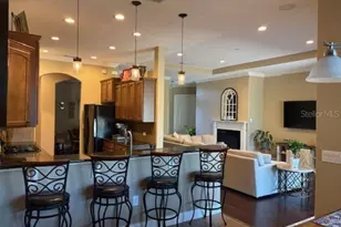 3347 Diamond Falls Cir, Land O Lakes, FL 34638 - Photo 13