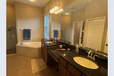 3347 Diamond Falls Circle, Land O Lakes, FL 34638 - Photo 17