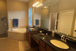 3347 Diamond Falls Cir, Land O Lakes, FL 34638 - Photo 17