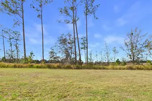 11411 Cay Spruce Wy, San Antonio, FL 33576 - Photo 23