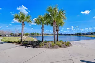 11019 Leland Groves Dr, Riverview, FL 33579 - Photo 69