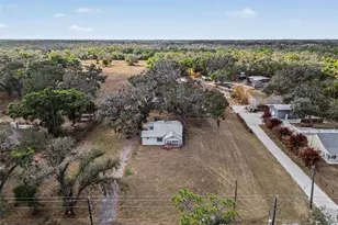 6305 Jim Davis Rd, Parrish, FL 34219 - Photo 39