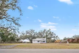 6305 Jim Davis Rd, Parrish, FL 34219 - Photo 3