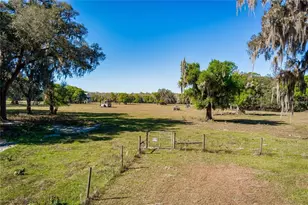 6305 Jim Davis Rd, Parrish, FL 34219 - Photo 3