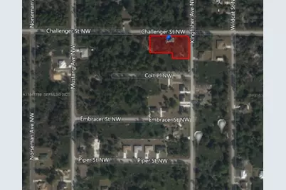 966 Challenger Street NW, Lake Placid, FL 33852 - Photo 3