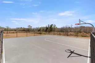 17205 Bigleaf Mahogany Ln, Land O Lakes, FL 34638 - Photo 31