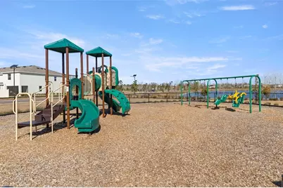 17205 Bigleaf Mahogany Lane, Land O Lakes, FL 34638 - Photo 33