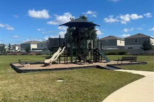 7838 Peace Lily Ave, Wesley Chapel, FL 33545 - Photo 23