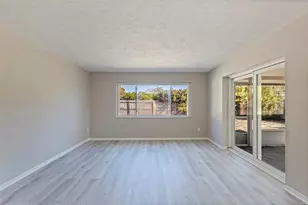 1013 55th Terrace S, Saint Petersburg, FL 33705 - Photo 13