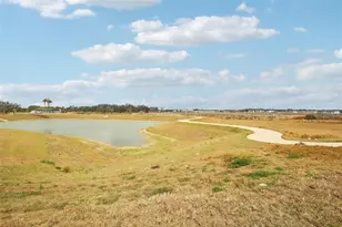 31481 Spanish Msn Rd, San Antonio, FL 33576 - Photo 37