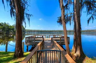 20627 Broadwater Dr, Land O Lakes, FL 34638 - Photo 75