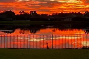 20627 Broadwater Dr, Land O Lakes, FL 34638 - Photo 69