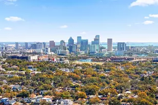 814 W Indiana Ave, Tampa, FL 33603 - Photo 51