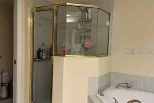 1746 Heron Cove Dr, Lutz, FL 33549 - Photo 29