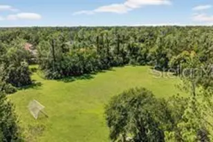 2955 Willowleaf Ln, Wesley Chapel, FL 33544 - Photo 35
