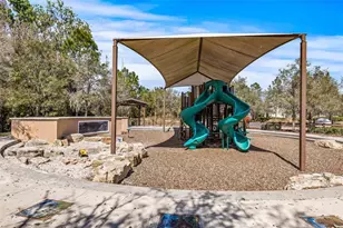 32741 Ansley Bloom Ln, Wesley Chapel, FL 33543 - Photo 65