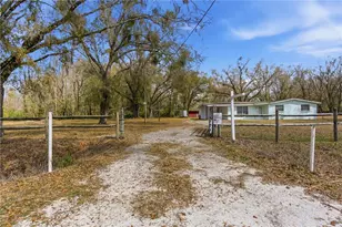 33725 Camerton Rd, Wesley Chapel, FL 33543 - Photo 9