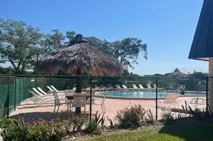 143 Forest Ln, Safety Harbor, FL 34695 - Photo 27