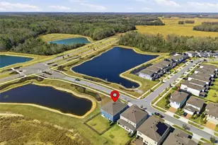 17674 Everlong Dr, Land O Lakes, FL 34638 - Photo 47