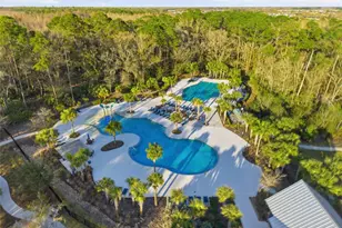 17674 Everlong Dr, Land O Lakes, FL 34638 - Photo 49