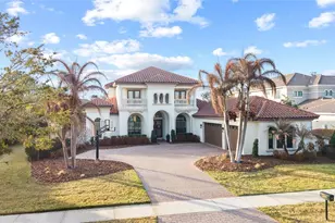 16406 Chapman Crossing Dr, Lithia, FL 33547 - Photo 1