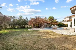 16406 Chapman Crossing Dr, Lithia, FL 33547 - Photo 51