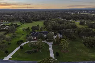 11441 Hammock Oaks Ct, Lithia, FL 33547 - Photo 15