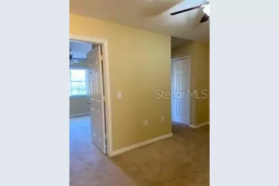 20418 Needletree Drive, Tampa, FL 33647 - Photo 13