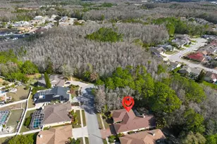 7532 Cheltnam Ct, New Port Richey, FL 34655 - Photo 53