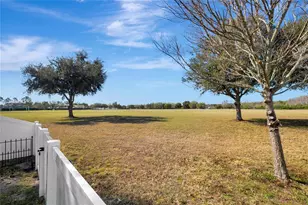 3407 Cardinal Feather Dr, Land O Lakes, FL 34638 - Photo 29