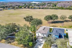 3407 Cardinal Feather Dr, Land O Lakes, FL 34638 - Photo 31