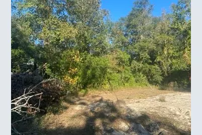 684 SE Murphy Place, Lake City, FL 32025 - Photo 23