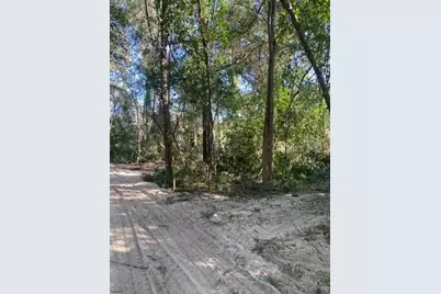 684 SE Murphy Place, Lake City, FL 32025 - Photo 19