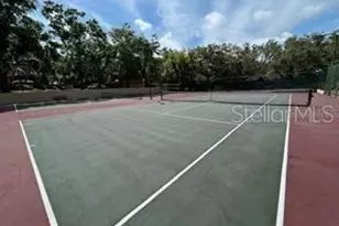 2713 4th Ct, Palm Harbor, FL 34684 - Photo 29