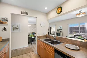 377 Moorings Cove Dr, Tarpon Springs, FL 34689 - Photo 17