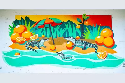 13305 NE 30th Court, Anthony, FL 32617 - Photo 53