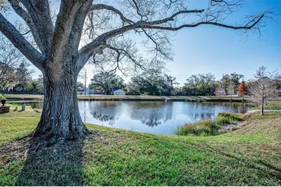 3200 McMath Drive, Palm Harbor, FL 34684 - Photo 31