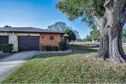 3200 McMath Drive, Palm Harbor, FL 34684 - Photo 5