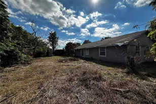 1427 Murillo Loop, Ruskin, FL 33570 - Photo 3