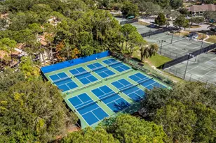 1703 Bayhill Dr, Oldsmar, FL 34677 - Photo 53
