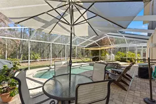 1703 Bayhill Dr, Oldsmar, FL 34677 - Photo 31