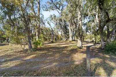 3007 Owls Nest Lane, Plant City, FL 33565 - Photo 9