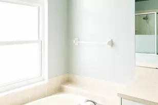 22632 Beltrees Ct, Land O Lakes, FL 34639 - Photo 29