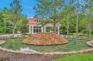 19341 Sunset Bay Dr, Land O Lakes, FL 34638 - Photo 49