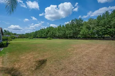 5507 Keeler Oak Street, Lithia, FL 33547 - Photo 51